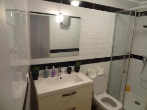 アヴィニョンにあるAppartement GOOD MINDSETのバスルーム(洗面台、トイレ、鏡付)