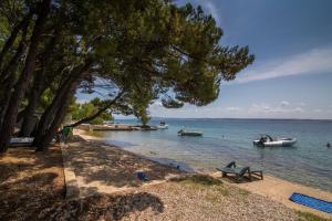 Photo de la galerie de l'établissement Camp Sibuljina, à Šibuljina