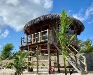 a hut on the beach with palm trees at Cabanadu Preá Kite in Prea