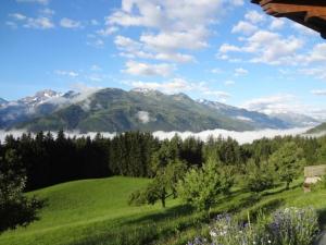 Fotografia z galérie ubytovania Bergbauernhof Seetalhof v destinácii Hollersbach im Pinzgau