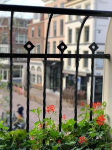 a view of a window with flowers on a balcony at Daen’s Greenhouse in Utrecht