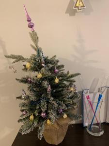 Fotografia z galérie ubytovania Apartament Admiralski v destinácii Kołobrzeg