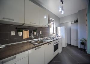 Kuchyň nebo kuchyňský kout v ubytování Apartment Korado