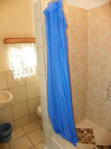 y baño con ducha y cortina azul. en Lake St Lucia Lodge, en St Lucia