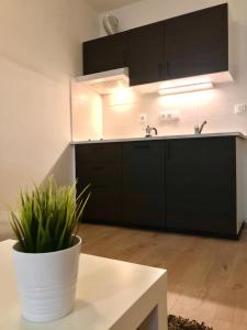 a kitchen with black cabinets and a plant on a table at Čertovka Trojka - apartmán Harrachov in Harrachov