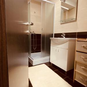 Koupelna v ubytování Ana Luxury Apartment ****