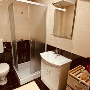 Koupelna v ubytování Ana Luxury Apartment ****
