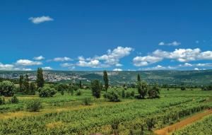 a green field with trees and a city in the distance at Apartman Genova Imotski in Donji Vinjani