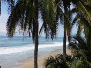 two palm trees on a beach with the ocean at Hotel Restaurante Rocío by Rotamundos in Acapulco