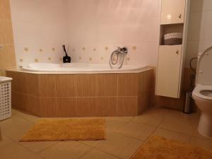 Koupelna v ubytování Penzion 166 - Herlíkovice
