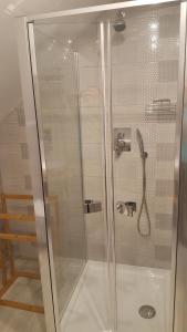 a shower with a glass door in a bathroom at Willa Monika Zieleniec in Duszniki Zdrój