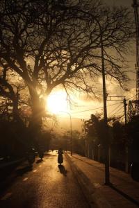 Φωτογραφία από το άλμπουμ του Con Son Island Hotel σε Con Dao