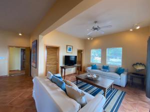 a living room filled with furniture and a tv at The Breeze-A Boutique Villa Experience in St Thomas