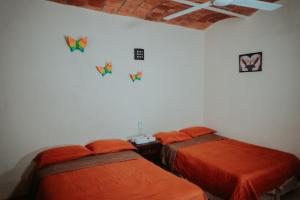 瓜亚比托斯Bungalows Flamingos的相册照片 更多100张照片