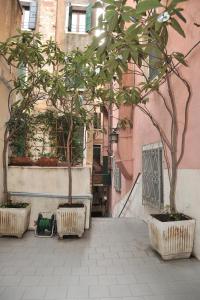 Gallery image of 3C B&B in Venice