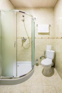 a bathroom with a toilet and a glass shower at Villa Elena SPA & Resort in Bukovel