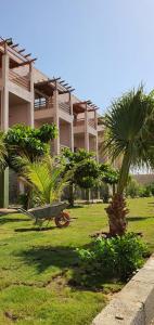 a park with a bench and palm trees in front of a building at شاليهات العرسان بمسبح وبدون مسبح بمحايل عسير ترقش in Turghush