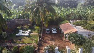 an aerial view of a house with a palm tree at Little Banana Homestay in Hampi