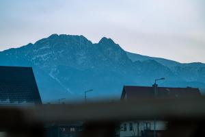 a mountain range in the distance with buildings and street lights at Luxury Houses & Apartments Zaliński in Zakopane