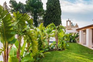 A garden outside Il San Corrado di Noto