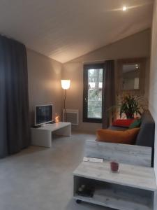 a living room with a couch and a television at Chalet la lande in Ondres