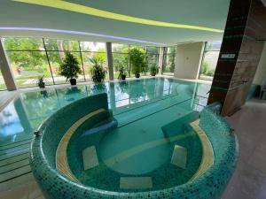 a large swimming pool in a building with glass windows at Imola Hotel Platán - Adults Only in Eger