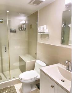 La salle de bains est pourvue de toilettes, d'une douche et d'un lavabo. dans l'établissement 2 Bedroom Ocean Drive Newly Renovated, à Miami Beach