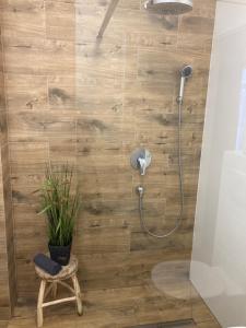 uma casa de banho com um chuveiro e uma planta em SOLE Apartment 2 em Satu Mare