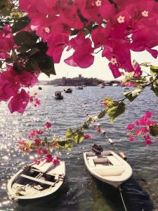 Imagen de la galería de Halikarnas Pansiyon, en Bodrum City
