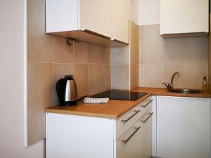 uma pequena cozinha com armários brancos e um lavatório em FilinHome Dusana 3-bedroom Suite em Novi Sad