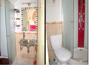 2 Bilder eines Badezimmers mit WC und Waschbecken in der Unterkunft Studio avec vue sur la ville jardin amenage et wifi a Saint Paul in Filaos