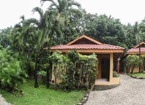 a house with a palm tree in front of it at Hotel Ritmo Tropical - Pool and Breakfast in Santa Teresa Beach +65 photos