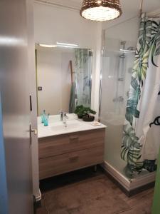 y baño con lavabo y ducha. en Grand T3 avec clim, parking et terrasse privative - Agen, en Agen