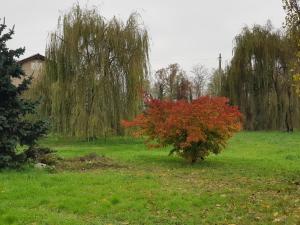 Ogród w obiekcie Az.Agr.Cascina Moretta