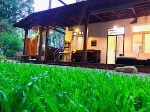 a house in the middle of a field of grass at Star Moon Secretarea in Yuchi