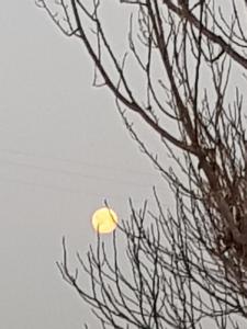 Zdjęcie z galerii obiektu Az.Agr.Cascina Moretta w mieście Momo