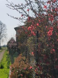 Ogród w obiekcie Az.Agr.Cascina Moretta