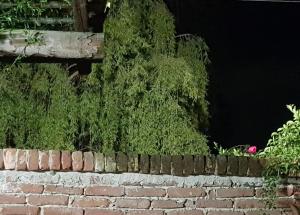 Ogród w obiekcie Az.Agr.Cascina Moretta