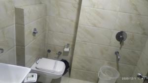 a bathroom with a shower with a toilet and a sink at Hotel Popular in Amritsar