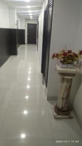 a hallway with a plant in a sink on the wall at Hotel Popular in Amritsar