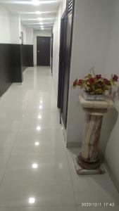 a hallway with a plant in a sink on the floor at Hotel Popular in Amritsar