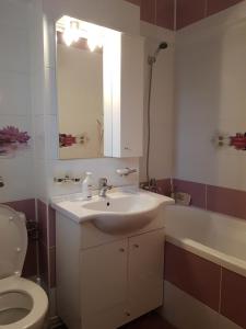 La salle de bains est pourvue d'un lavabo, de toilettes et d'une baignoire. dans l'établissement Garsoniera Mihaela, à Petroşani