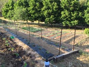 Giardino di Appartement confortable à Moltifao, vue sur montagne, 50 m²