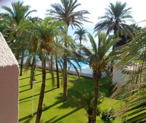 a group of palm trees in a field of grass at 2 bedrooms appartement at San Javier 100 m away from the beach with sea view shared pool and furnished balcony in La Manga del Mar Menor
