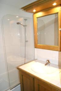 ein Bad mit einem Waschbecken und einer Dusche mit einem Spiegel in der Unterkunft Appartement de 2 chambres a Pralognan la Vanoise a 900 m des pistes avec balcon amenage et wifi in Pralognan-la-Vanoise