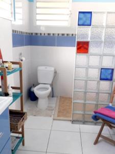 a bathroom with a toilet and a glass shower at Maison d'une chambre avec terrasse amenagee et wifi a La Trinite in La Trinité
