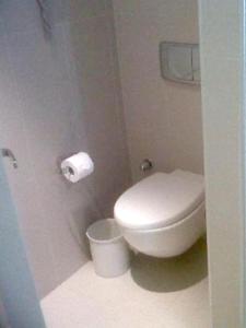 a bathroom with a toilet and a roll of toilet paper at Studio avec jardin clos et wifi a Hirel in Hirel