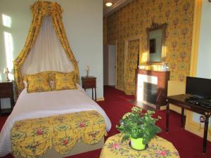 um quarto de hotel com uma cama e uma lareira em Chateau Lezat - Chambres d'Hotes et Table d'Hotes em La Souterraine