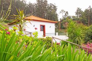 a small white house in the middle of a garden at 2 bedrooms house with furnished garden and wifi at Camacha in Camacha