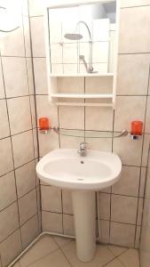 a bathroom with a white sink and a mirror at Maison d'une chambre a Schoelcher a 20 m de la plage avec terrasse amenagee et wifi in Schœlcher
